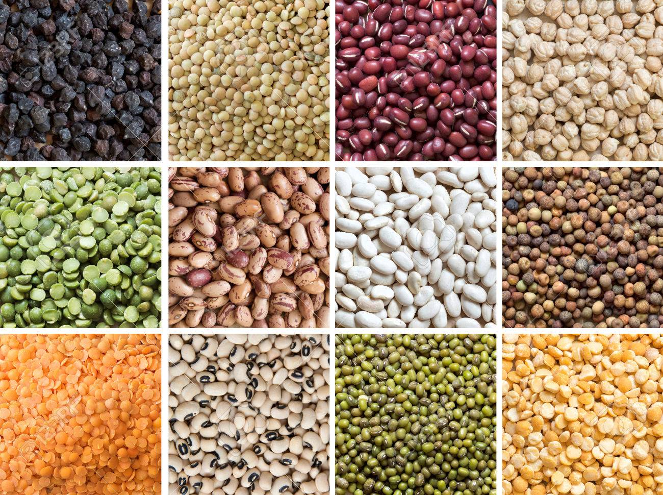 beans
