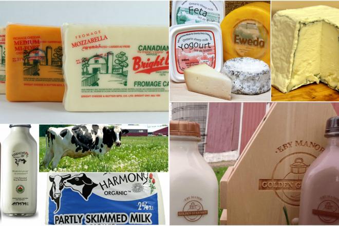 Dairy Collage