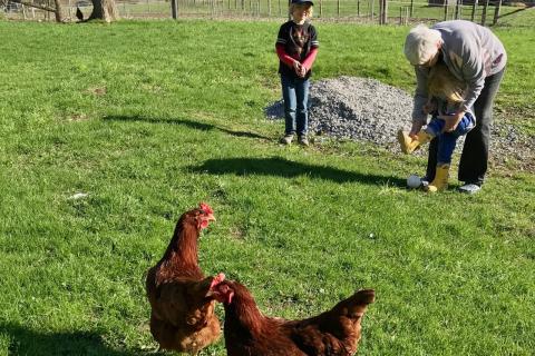 Bright Horizon Family Farm