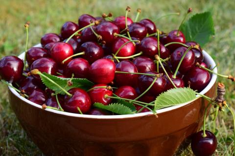 Cherries in a Bowl