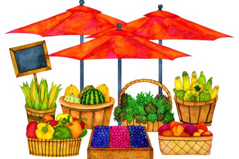 fruit clip art