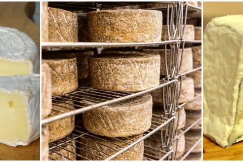 cheeses