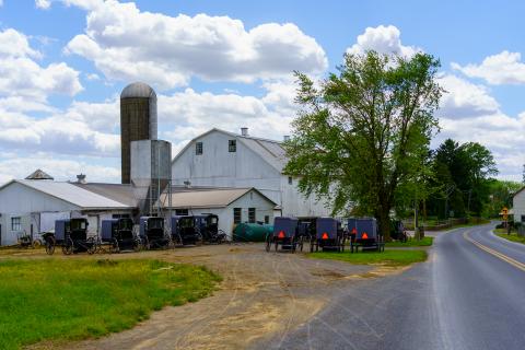 farm scene